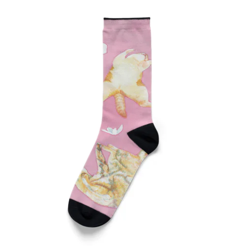 夢心地 Socks