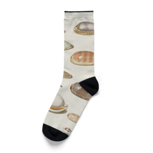 貝殻　いろいろ Socks