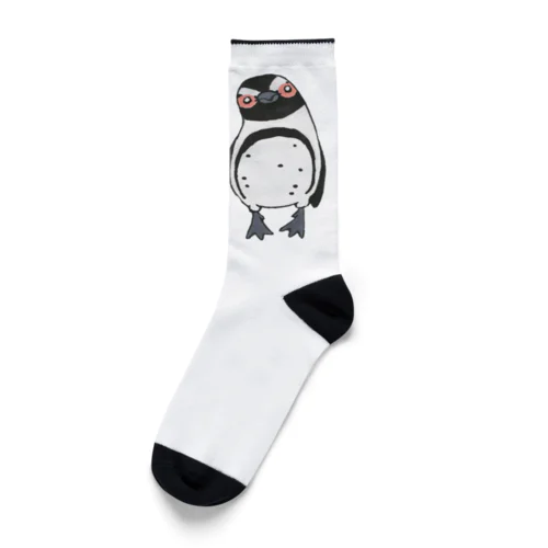 手繋ぎケープペンギンのカップル🐧❤️🐧 Socks