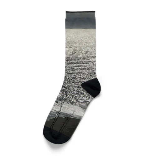 202004241513000　銀の海岸線 Socks