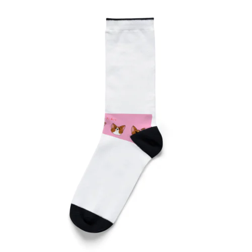 コーギーしか勝たん(ピンク) Socks