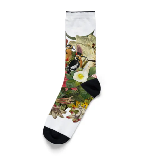 Flower of Life Socks