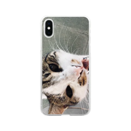 Hungry Madagascar cat Soft Clear Smartphone Case