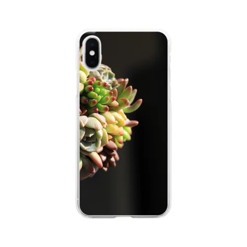 多肉だま*多肉植物 Soft Clear Smartphone Case