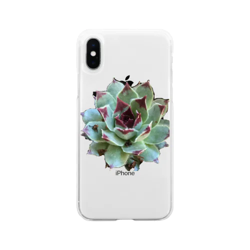 多肉植物　綾桜 Soft Clear Smartphone Case