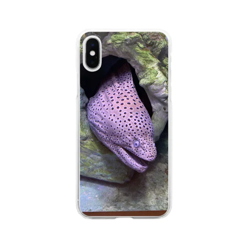 魚介 Soft Clear Smartphone Case
