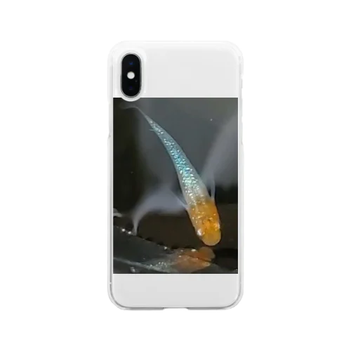 改良　メダカ Soft Clear Smartphone Case