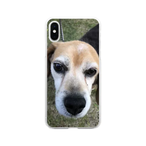 ビーグル犬スマホケース Soft Clear Smartphone Case