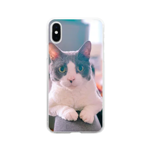 猫毛団のぽんちゃん Soft Clear Smartphone Case