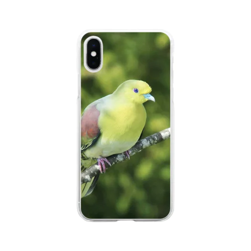 アオバト。野鳥。 Soft Clear Smartphone Case