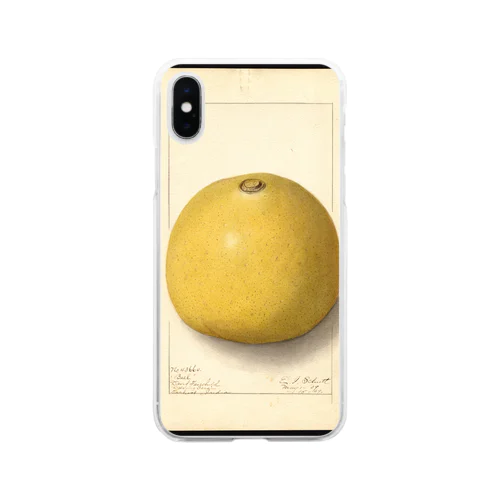 Aegle marmelos  Soft Clear Smartphone Case