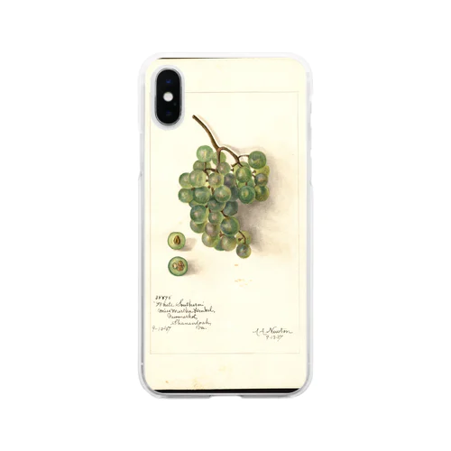 White Southern  Soft Clear Smartphone Case