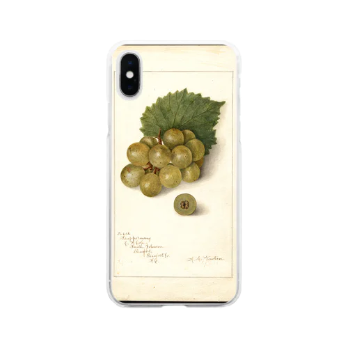 Scuppernong  Soft Clear Smartphone Case