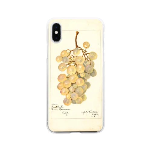 Kurtelaska  Soft Clear Smartphone Case