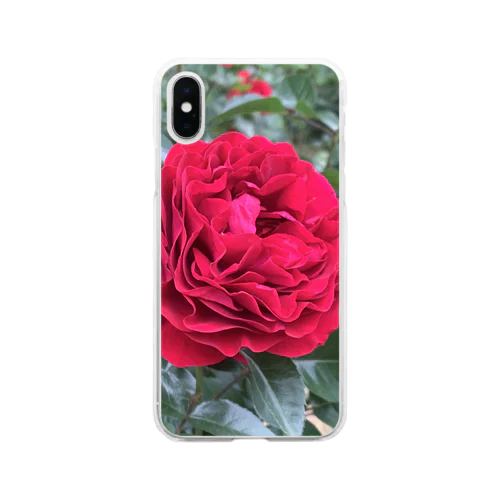 与野本町の薔薇 Soft Clear Smartphone Case