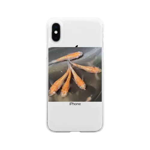 王華　朱砂系　メダカ Soft Clear Smartphone Case