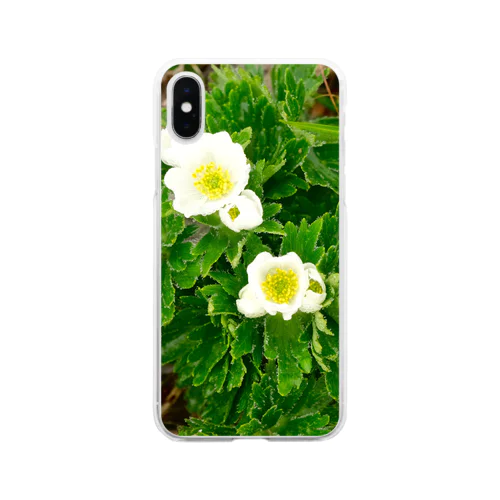 植物図鑑 ハクサンイチゲ Soft Clear Smartphone Case