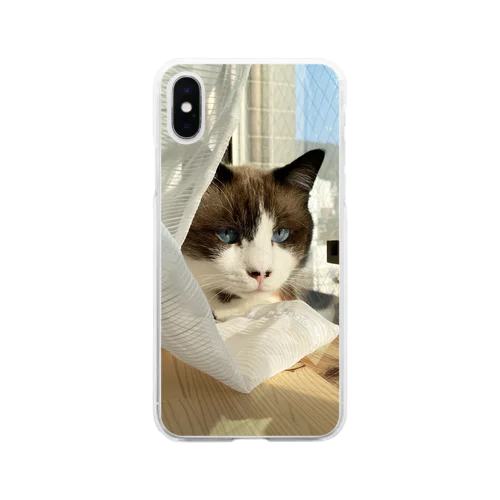 窓辺のポアンカレ氏 Soft Clear Smartphone Case