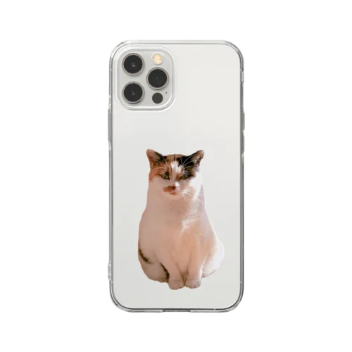 忠犬ニャン公 Soft Clear Smartphone Case