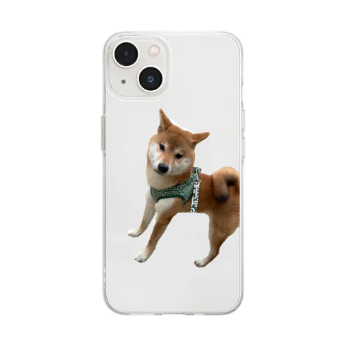 小鉄 Soft Clear Smartphone Case