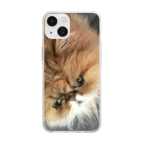 ぶちゃ猫・茶々丸 Soft Clear Smartphone Case