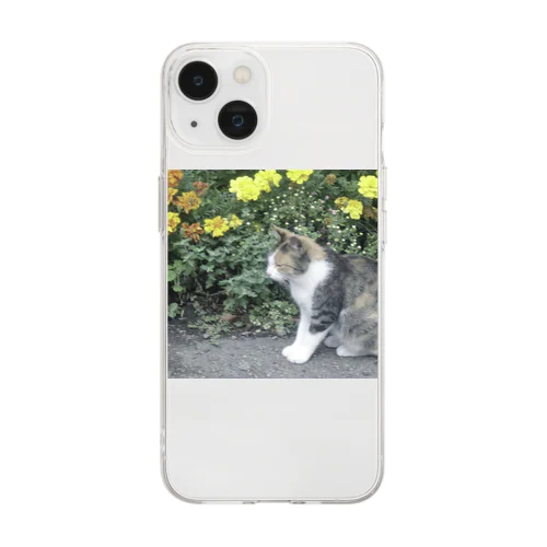 hometown cat Soft Clear Smartphone Case