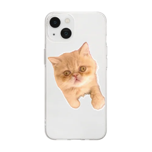 エキゾチックショートヘア猫 Soft Clear Smartphone Case