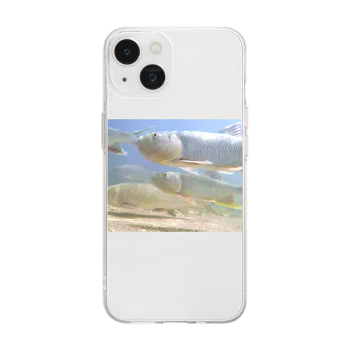 琵琶湖の魚たち~ハスとニゴイ Soft Clear Smartphone Case