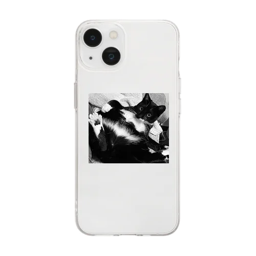 sexy cat Soft Clear Smartphone Case