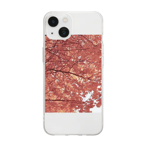 ginkgo_5 Soft Clear Smartphone Case