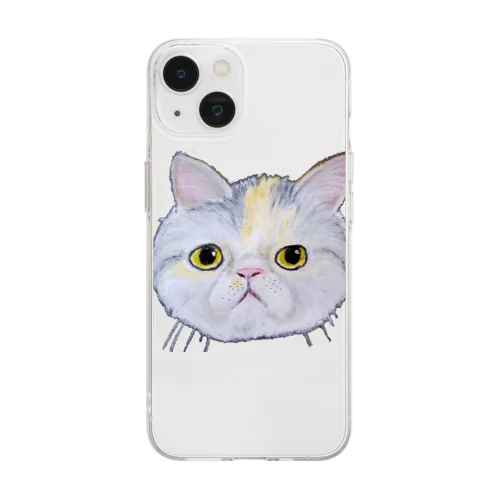 チョークアートのエキゾチックショートヘア😺 Soft Clear Smartphone Case