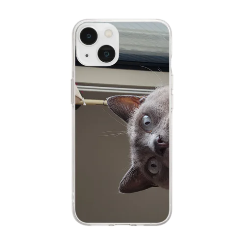 覗猫 Soft Clear Smartphone Case