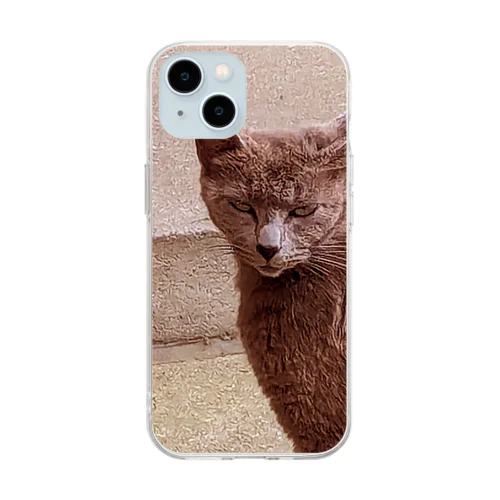 猫🐱 Soft Clear Smartphone Case