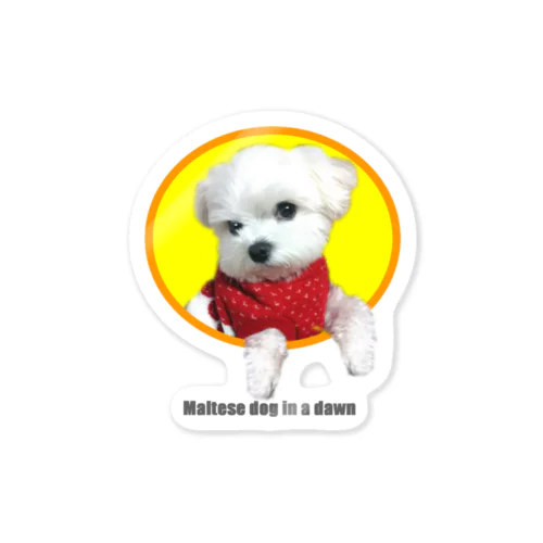  夜明けのマルチーズ （ Cute and cool puppy. ） Sticker