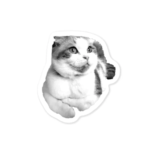 CAT-M Sticker