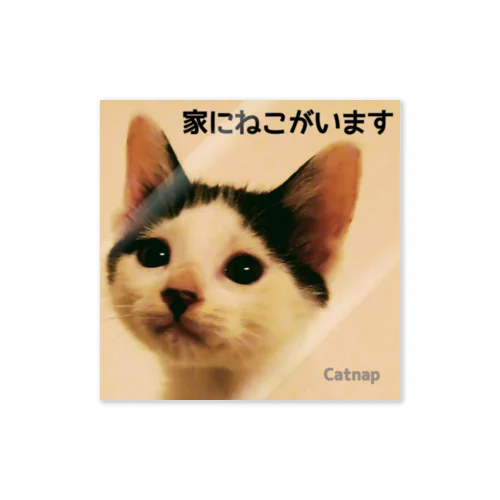 家にねこがいます(ＭＥ) Sticker