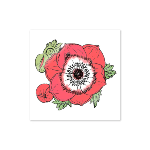 赤い芥子の花 Sticker
