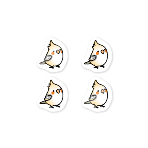 Chubby Bird オカメインコ　パイド　 Sticker