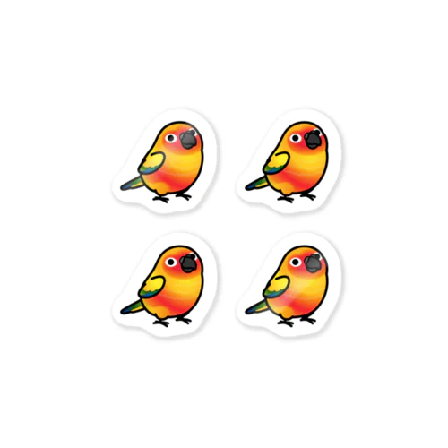 Chubby Bird コガネメキシコインコ　 Sticker