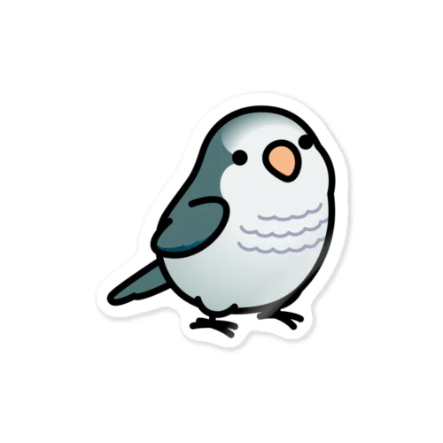 Chubby Bird オキナインコ　グレー Sticker