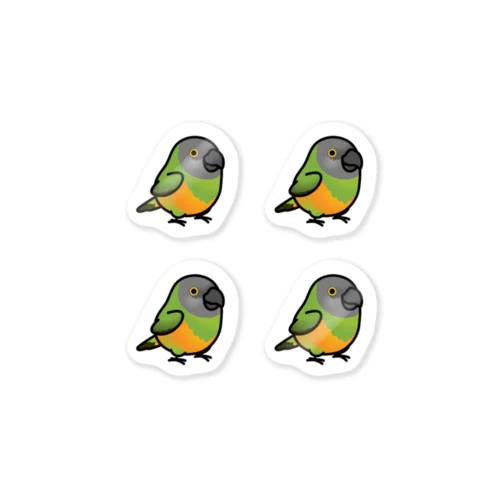 Chubby Bird ネズミガシラハネナガインコ Sticker