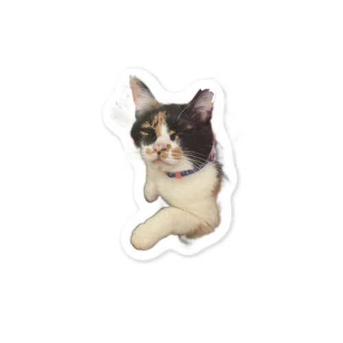 目細めステッカーねこ Sticker