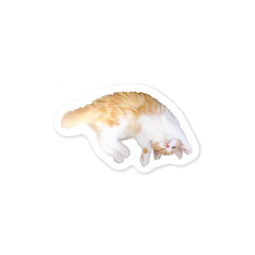 ウインクねこ Sticker