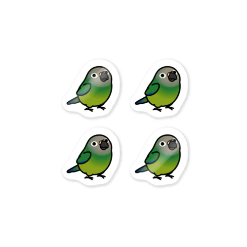  Chubby Bird シモフリインコ　 Sticker