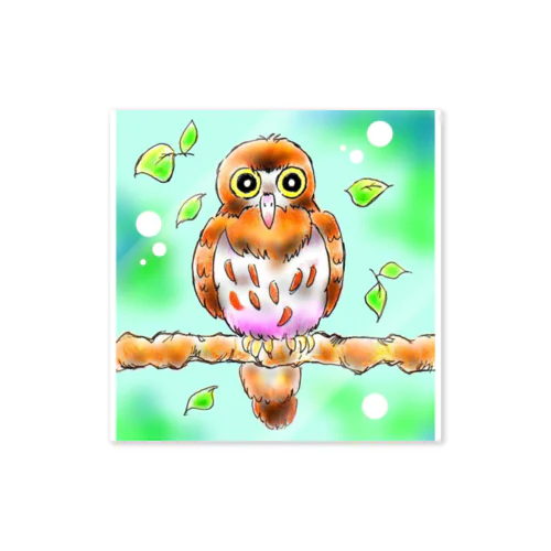 アオバズクちゃん Sticker