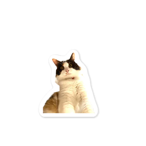 ホラーな三毛猫の朝（シンプル） Sticker