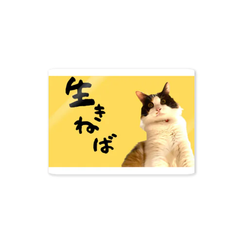強く生きる三毛猫の朝 Sticker