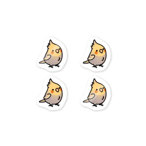  Chubby Bird オカメインコ　シナモンパール　 Sticker