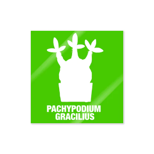 パキポディウムグラキリス(シルエット) Sticker
