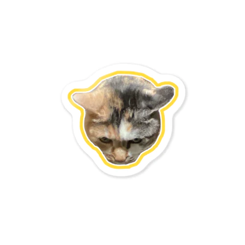 angry cat Sticker